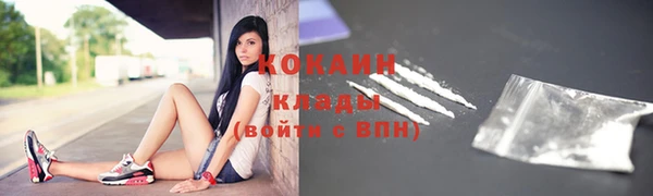 винт Абаза